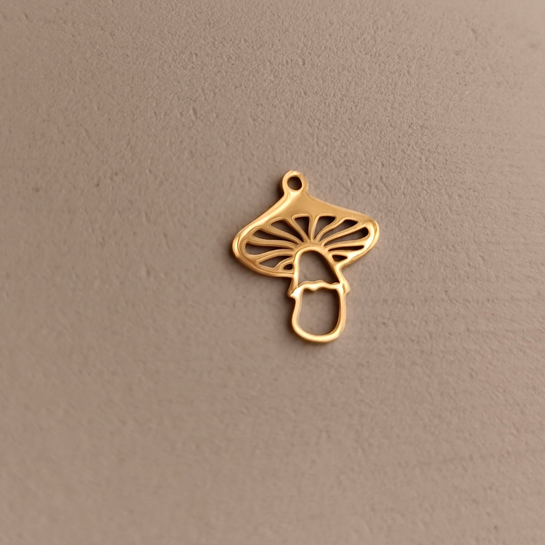 Ciondoli charms NATURA