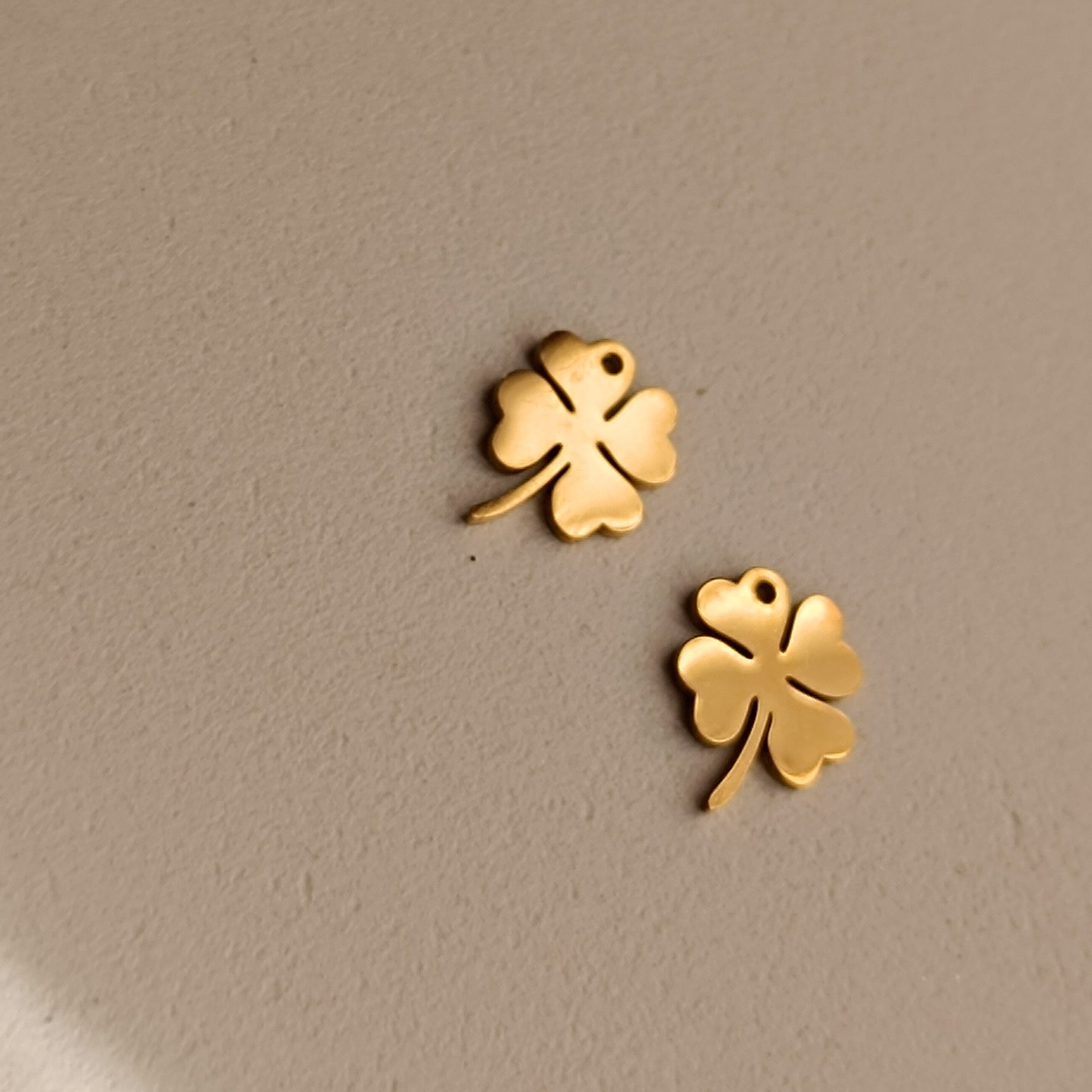 Ciondoli charms NATURA