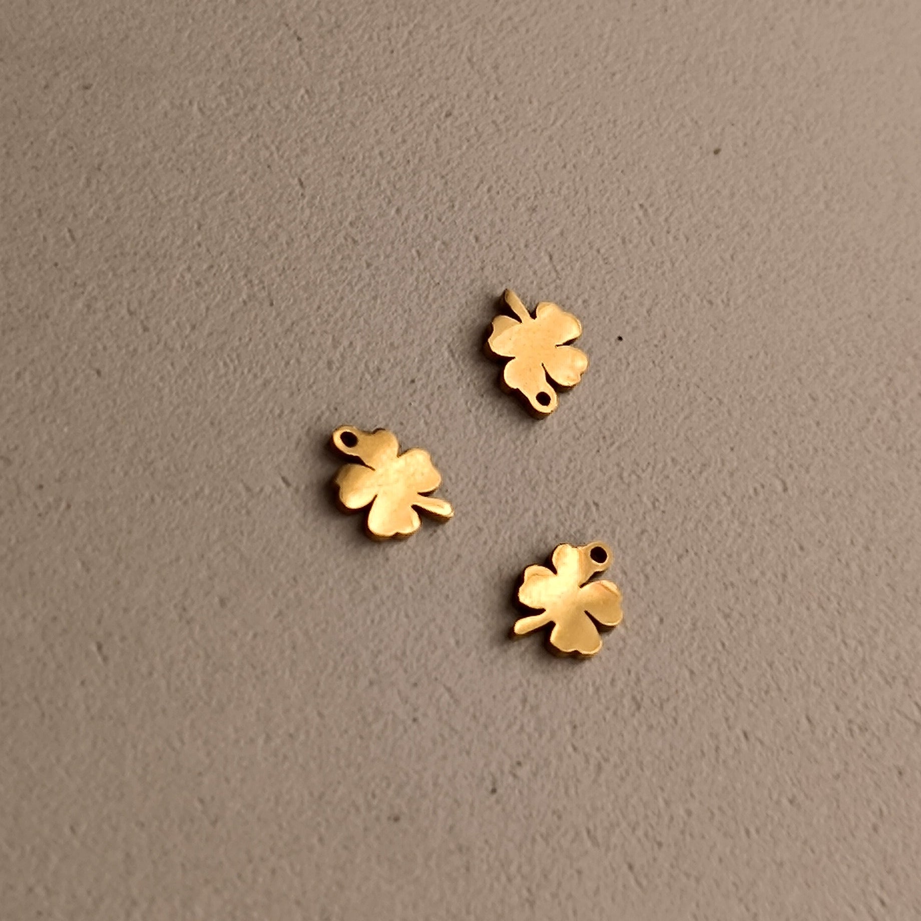 Ciondoli charms NATURA