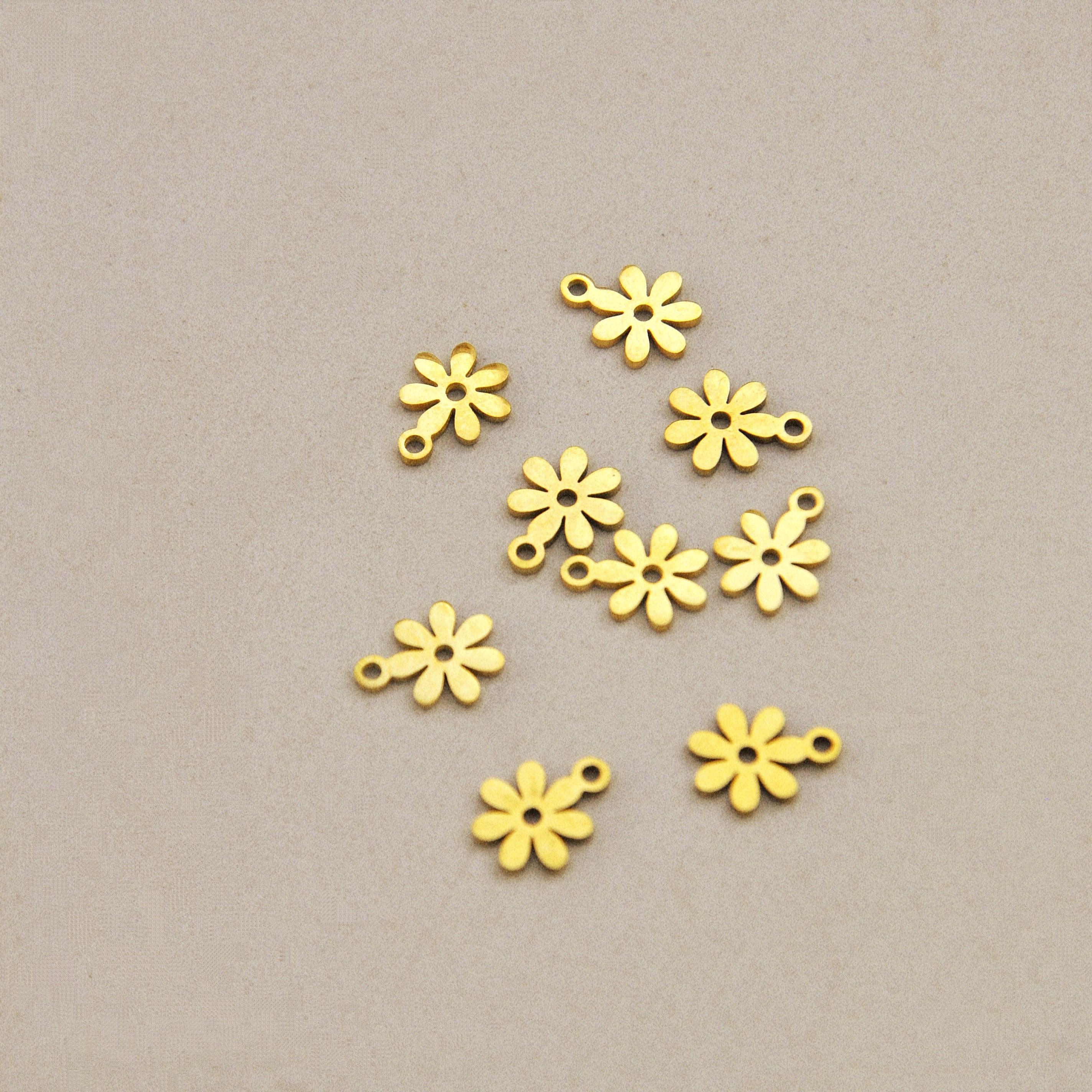 Ciondoli charms NATURA