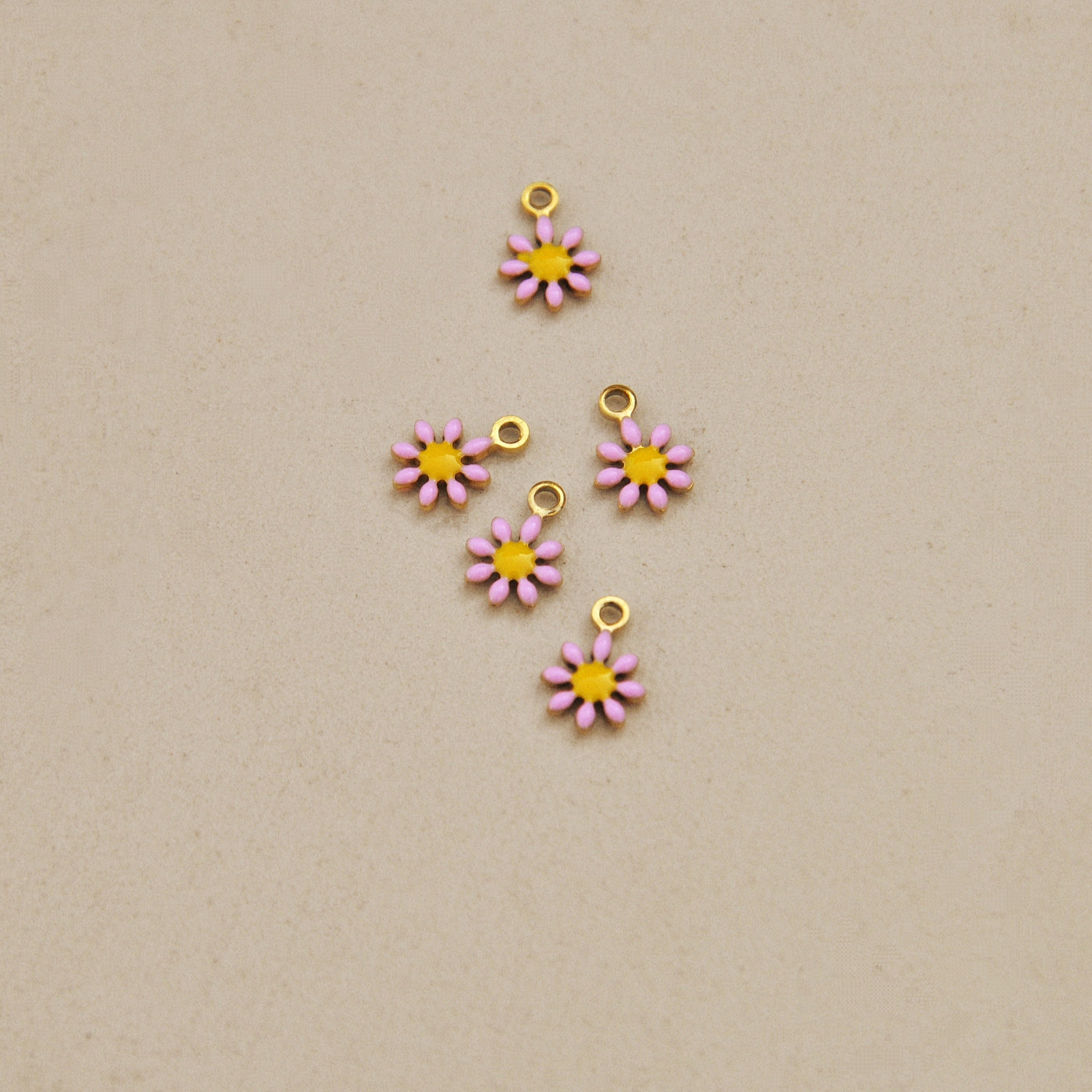 Ciondoli charms NATURA