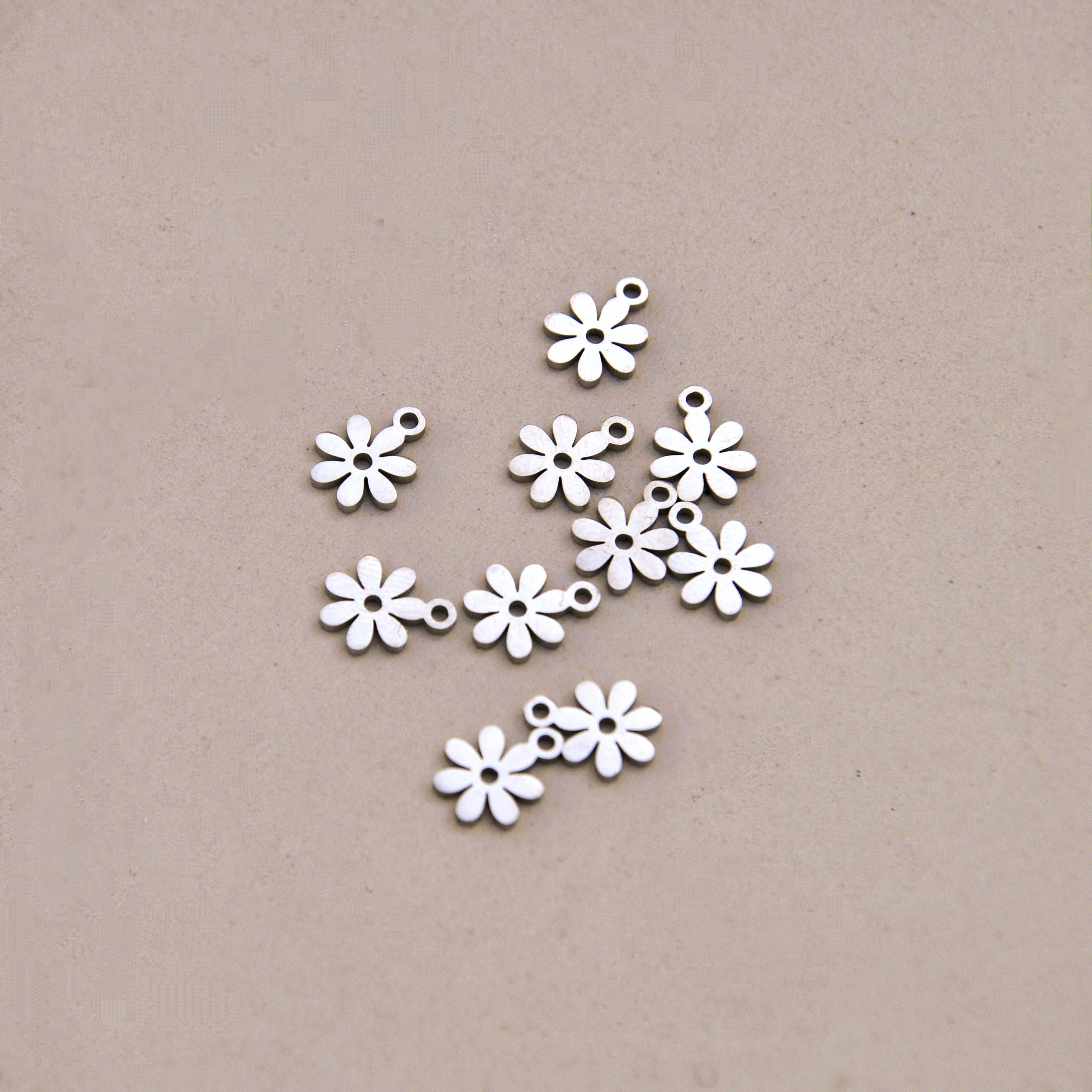 Ciondoli charms NATURA