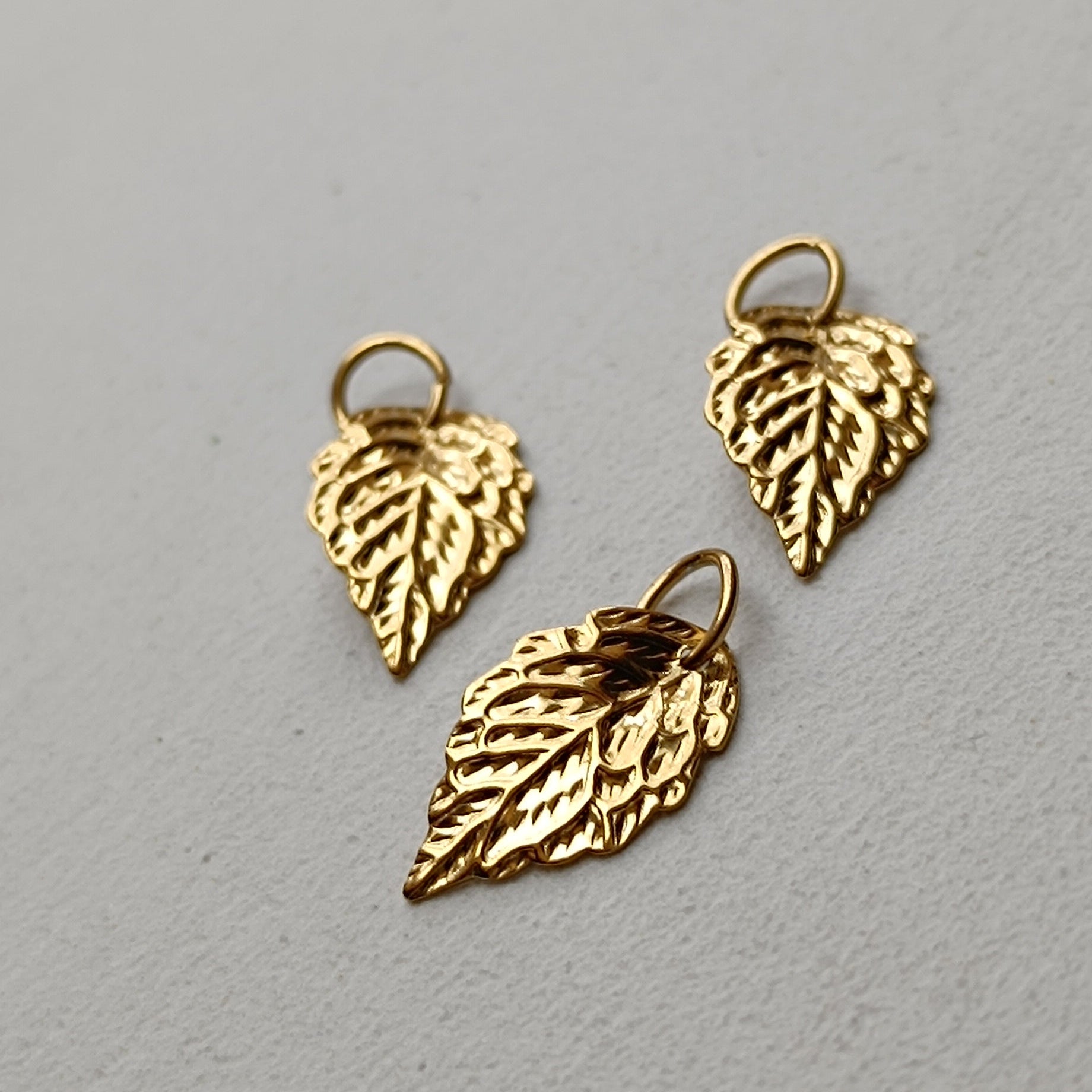 Ciondoli charms NATURA