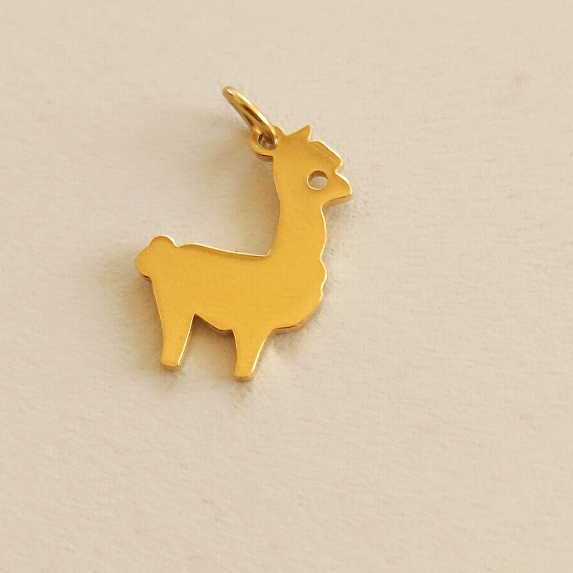 Ciondoli charms NATURA