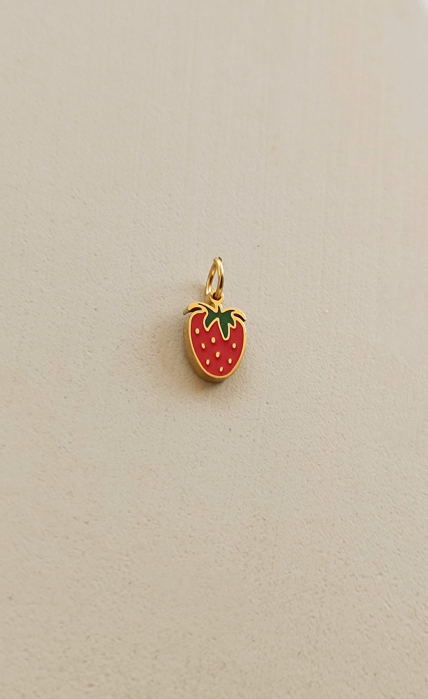 Ciondoli charms NATURA