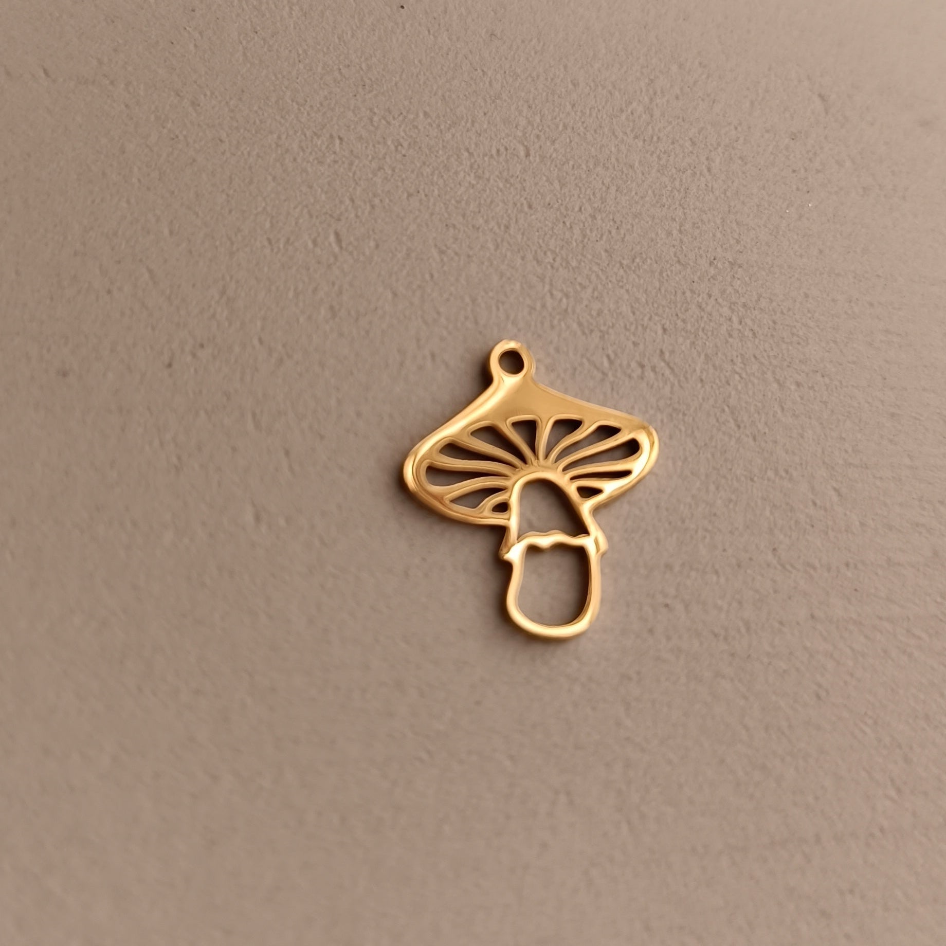 Ciondoli charms NATURA