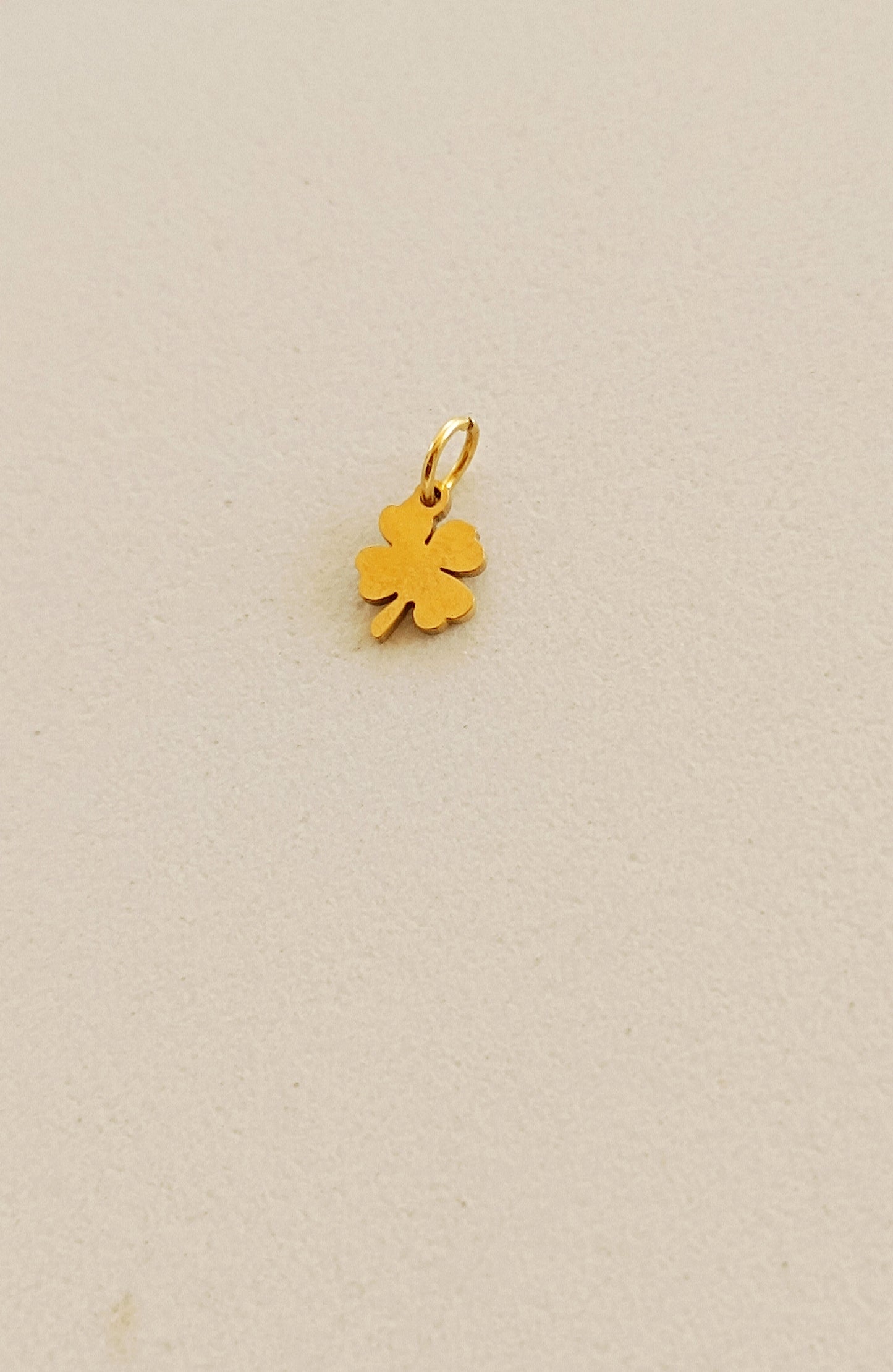 Ciondoli charms NATURA