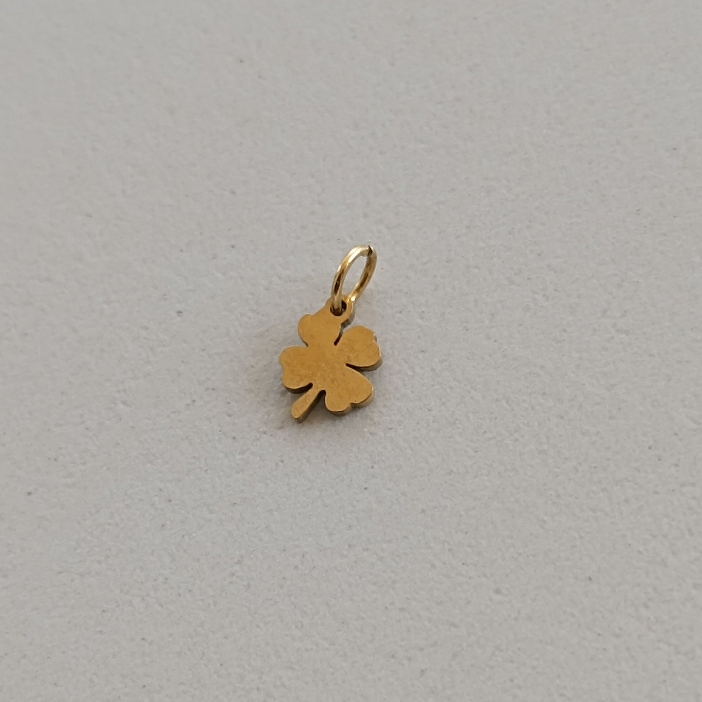 Ciondoli charms NATURA