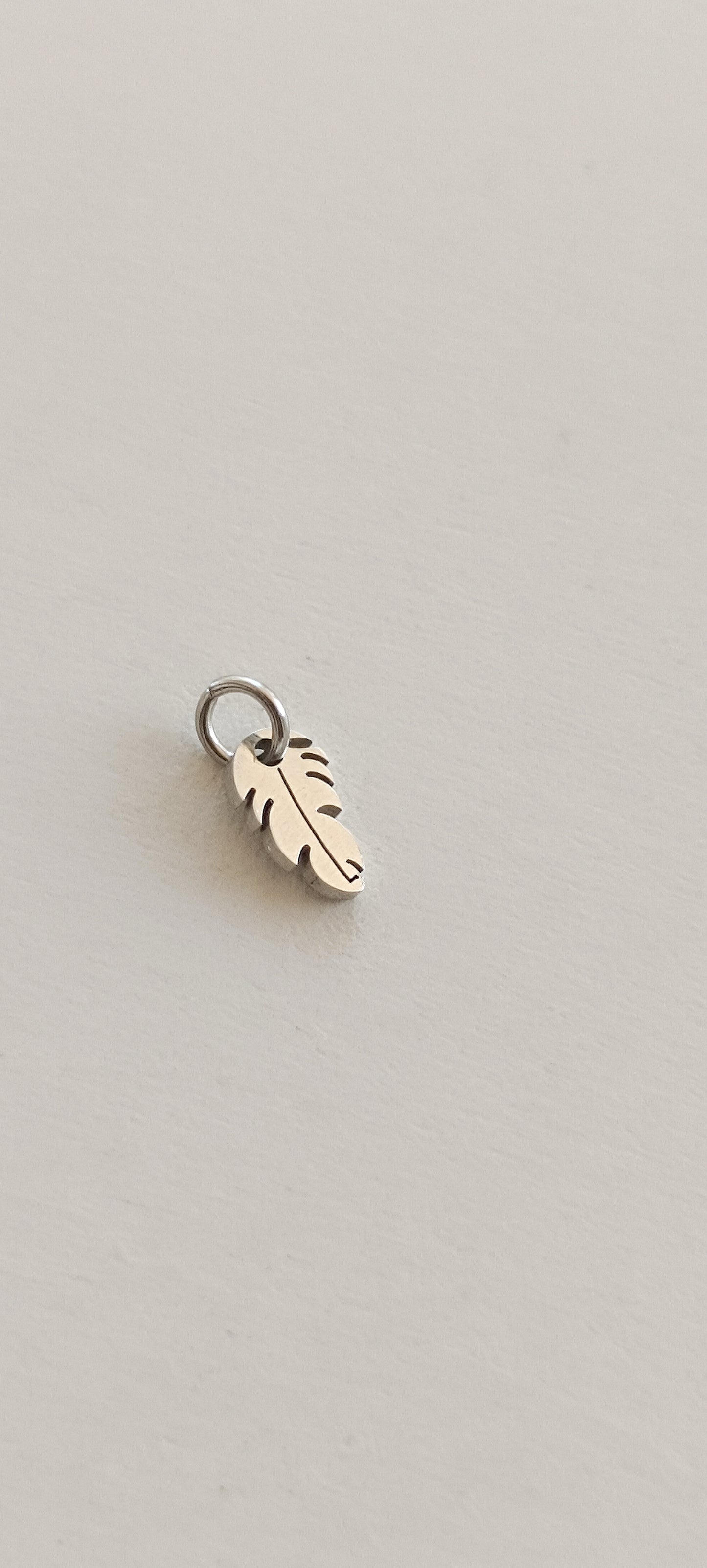 Ciondoli charms NATURA