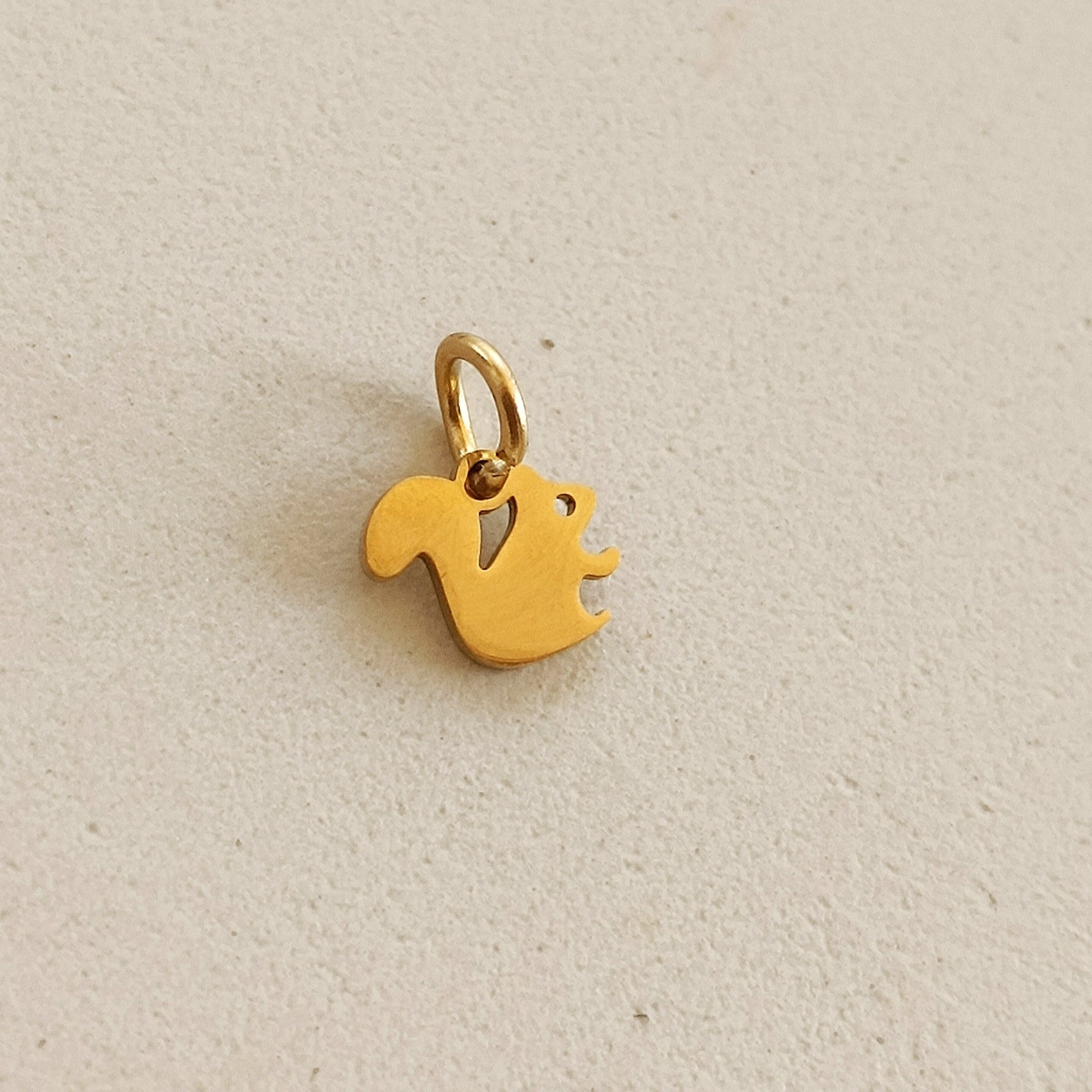 Ciondoli charms NATURA