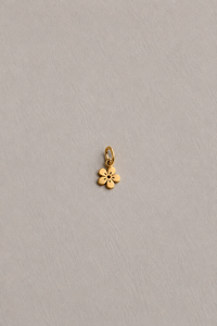 Ciondoli charms PICCOLE GIOIE