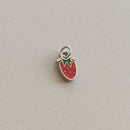 Ciondoli charms NATURA