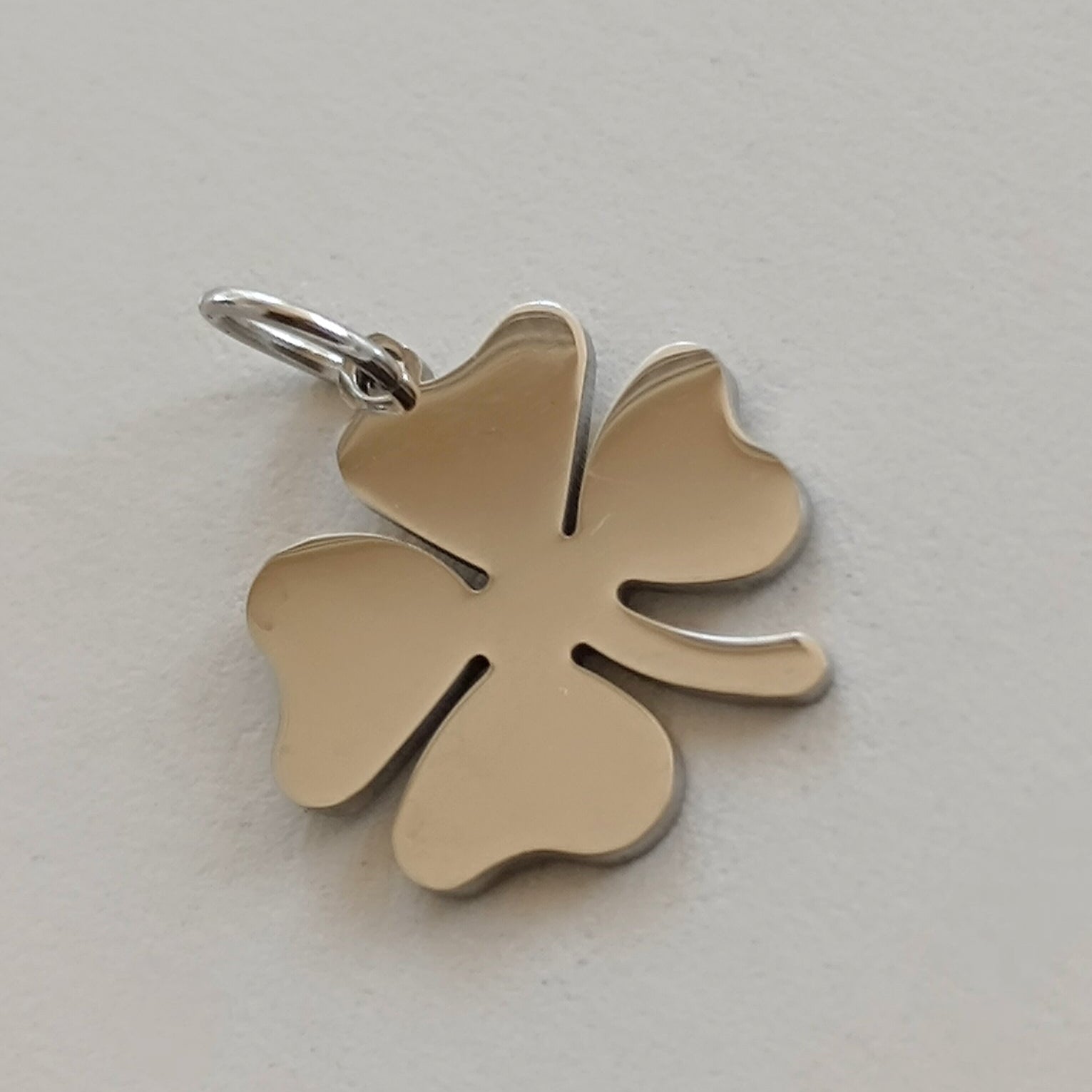 Ciondoli charms NATURA