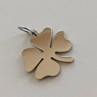 Ciondoli charms NATURA