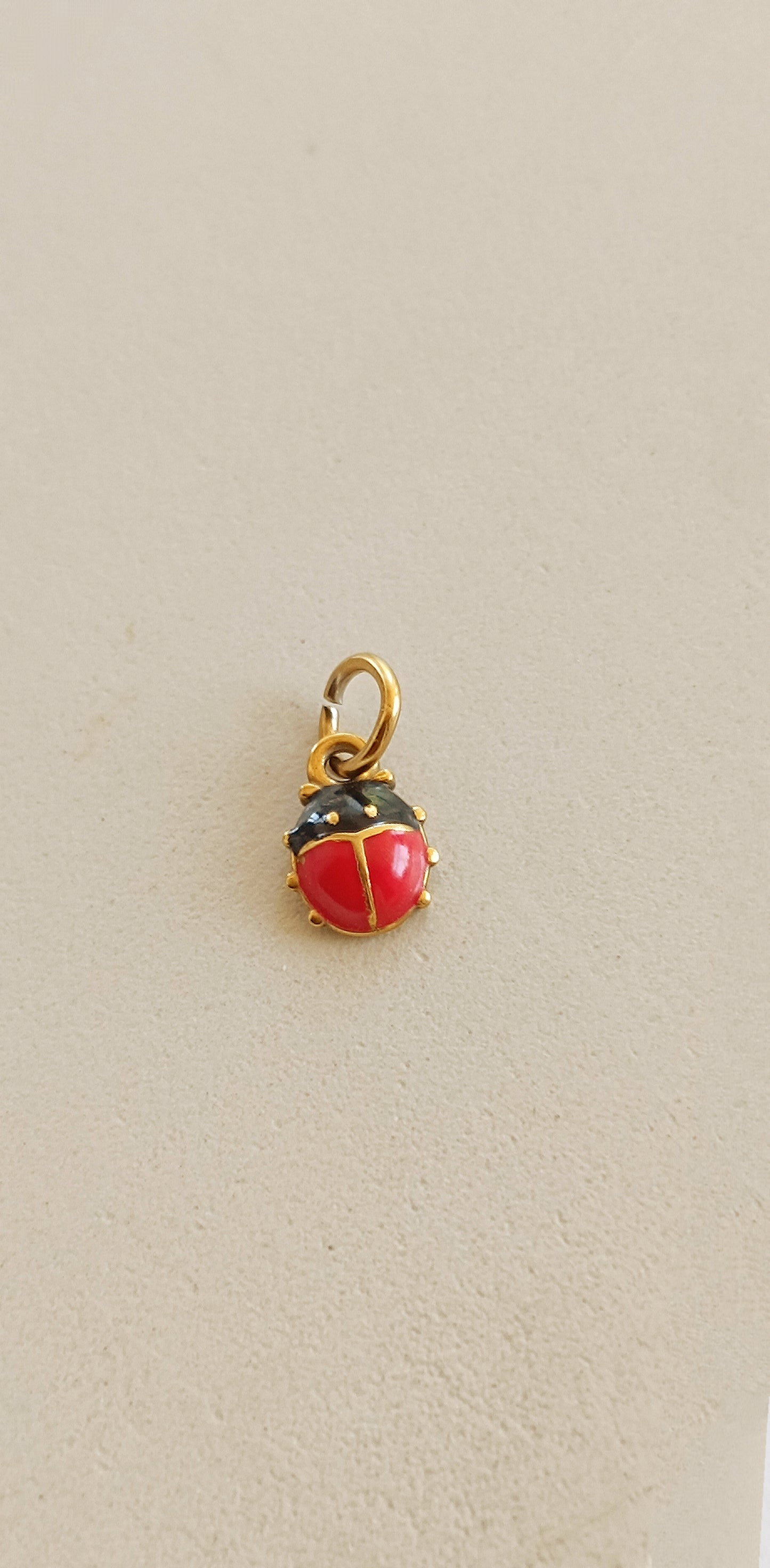 Ciondoli charms NATURA