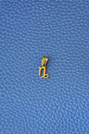 Ciondoli charms  ZODIACO mini