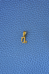 Ciondoli charms  ZODIACO mini