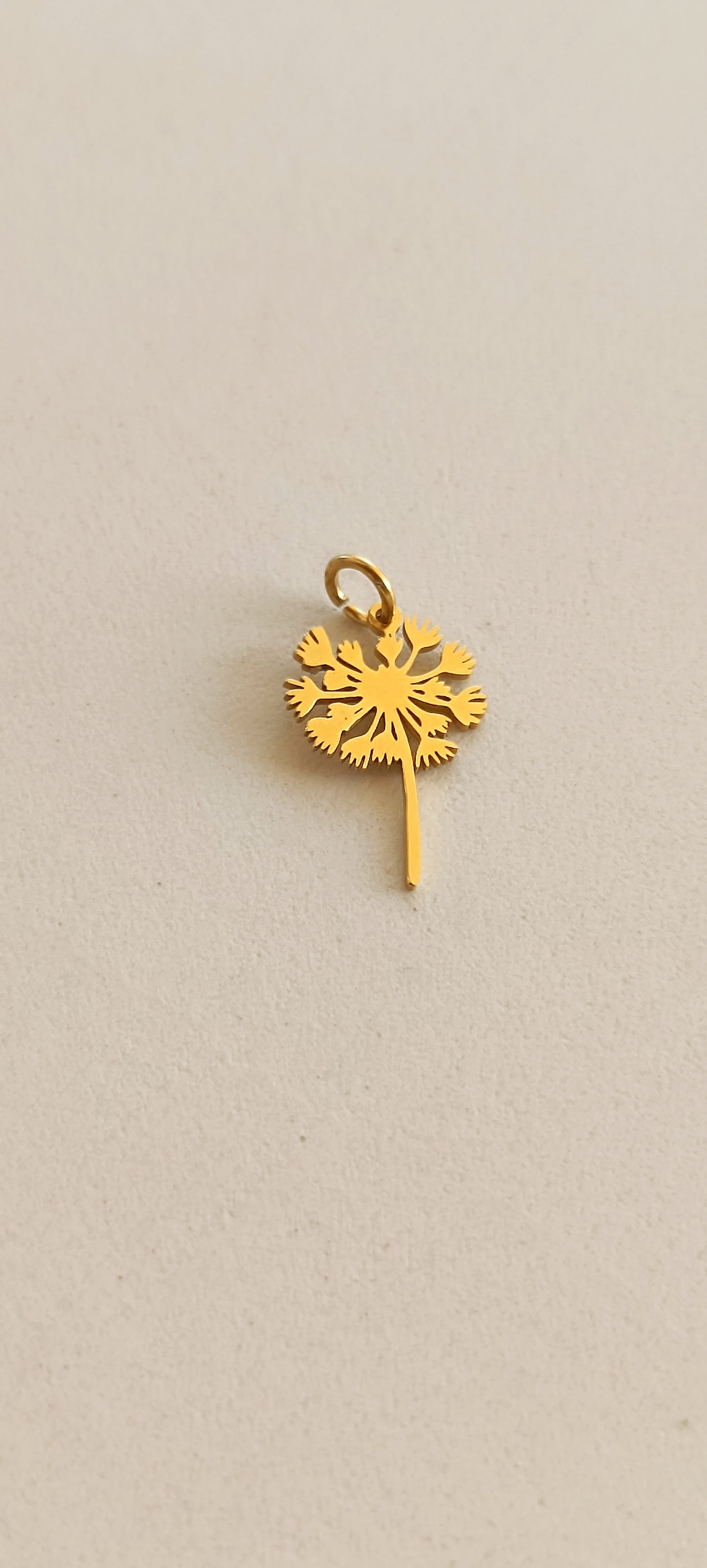 Ciondoli charms NATURA