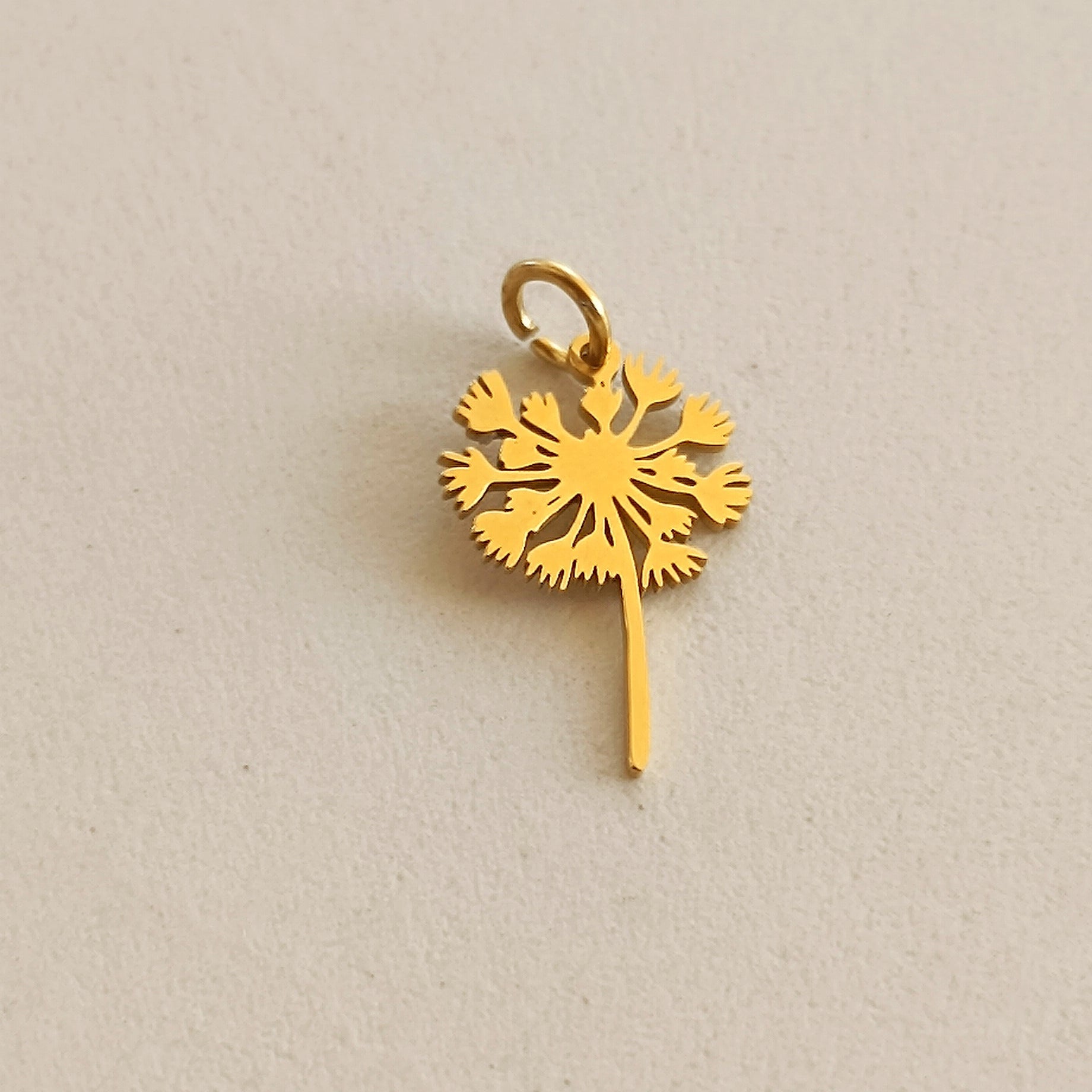 Ciondoli charms NATURA